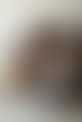 The Life-Changing Benefits of an Erasmus+ Internship for Students