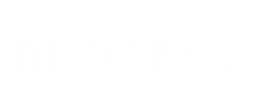 Visuals By Mitchknack white.png