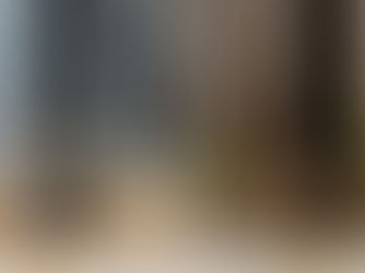 Durability Showdown: Wood Framing vs. Light Steel Framing