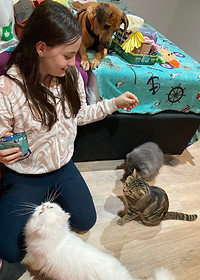 Ein Mädchen das am Boden sitzt und mit verschiedenen Katzen spielt.