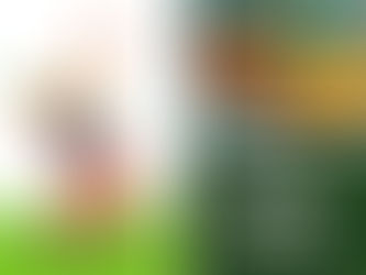 Indian Cricketers with their Most Expensive Car Collections