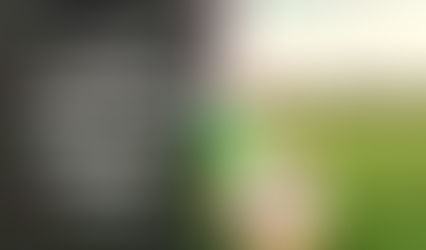 Increased craziness among people for new fantasy app-11wickets