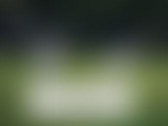 Master the Art of Fielding with Fantasy Games