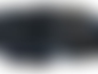 Quel avenir pour la Sonic X?