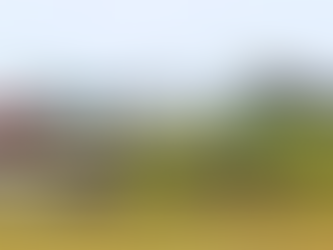 Le camping abordable : bien plus qu’une question de prix