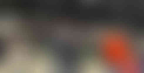 Classe B et Van Life, des ''success stories''