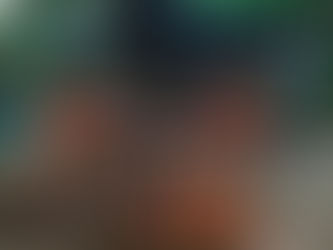 Une Airstream pour le télé-travail sur la route