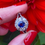 Thumbnail: Vintage 18ct White Gold Sapphire & Diamond Halo Ring