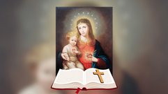 Message of the Superior General Feast of the Immaculate Heart of Mary