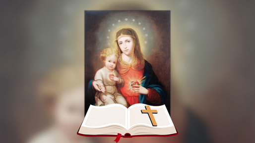 Message of the Superior General Feast of the Immaculate Heart of Mary