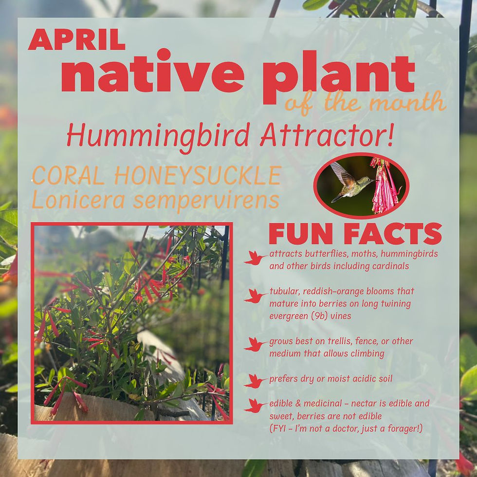 April Native Plant of the Month