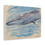 Thumbnail: Minke Whale in Maine Art Canvas Gallery Wrap