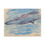 Thumbnail: Minke Whale in Maine Art Canvas Gallery Wrap
