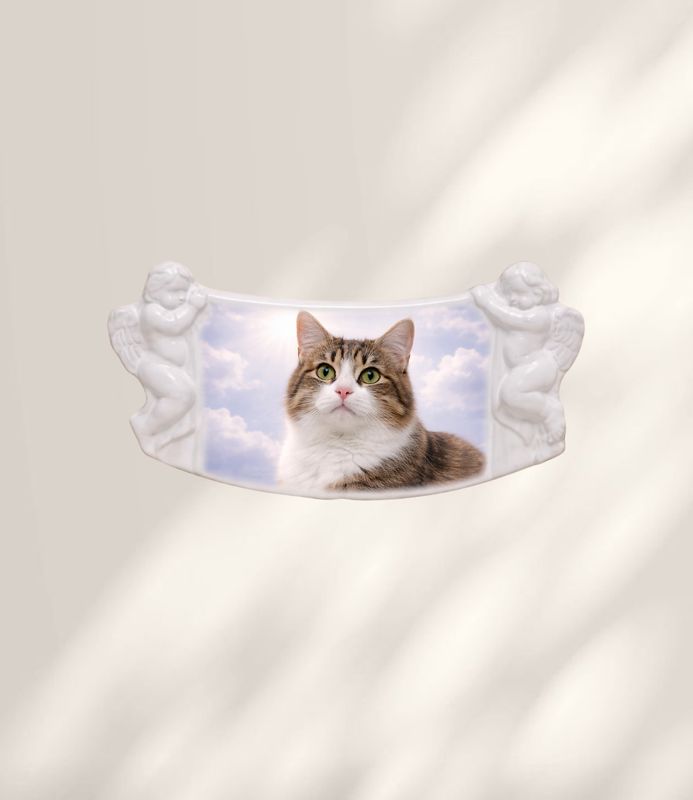 Fotoceramică dreptunghiulară curbată pentru animale, model Papirus cu îngeri decorati