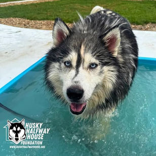 Around the water cooler, we’ve been talking…