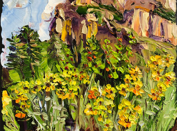 220906O Spearfish Canyon 8x10.jpeg