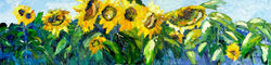 Summer Sunflowers