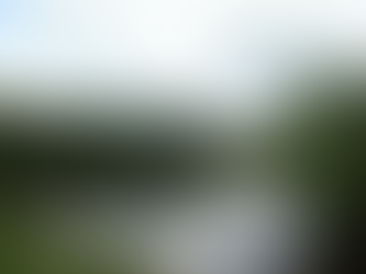 "Préserver la Diversité Locale : Guide pour une Coexistence Respectueuse avec la Faune et la Flore dans la Communauté Sawa"