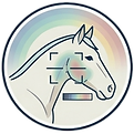 Thermografie Icon.png