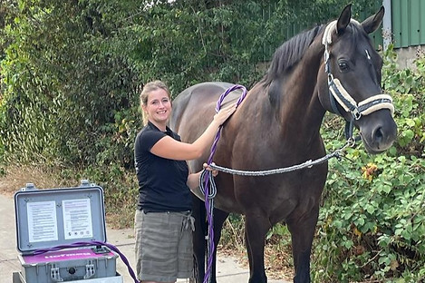 WhatsApp Image 2023-12-30 at 16.55_edited.jpg