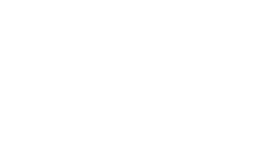 Features Icon - C3.png