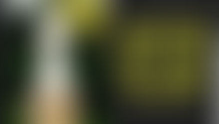 [ 烏 克 蘭 與 中 國 夢 三之三 ]