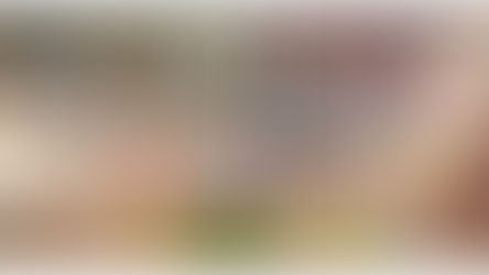 [ 釋 迦 牟 尼 改 變 世 界 的 故 事 ]