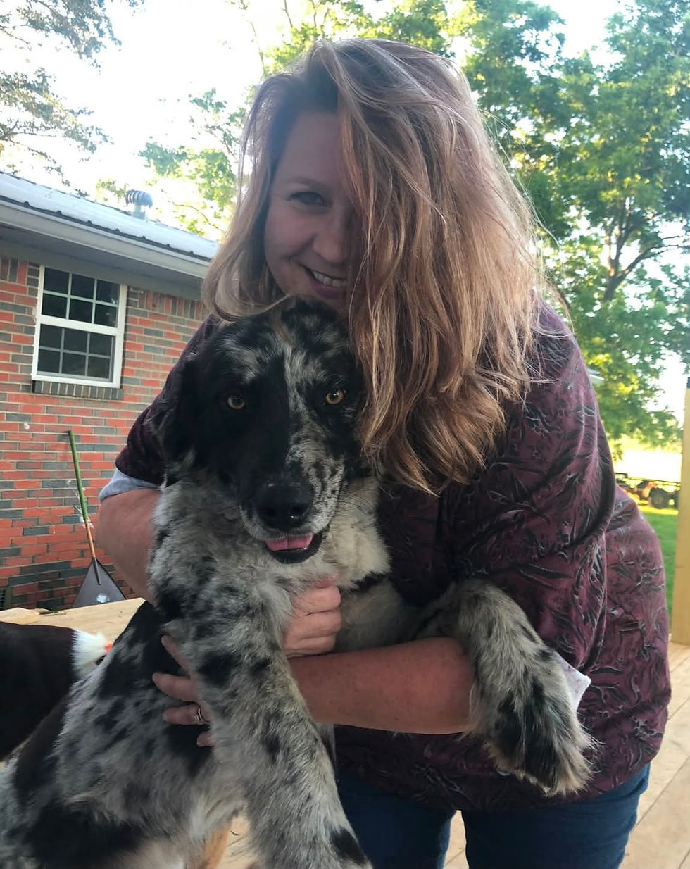 Dog and cat with owner learning about pet insurance in Alabama