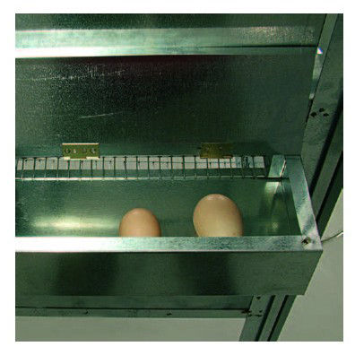 Miniatura: Struttura per ricovero Avicoli 100 x 100 x 145H cm