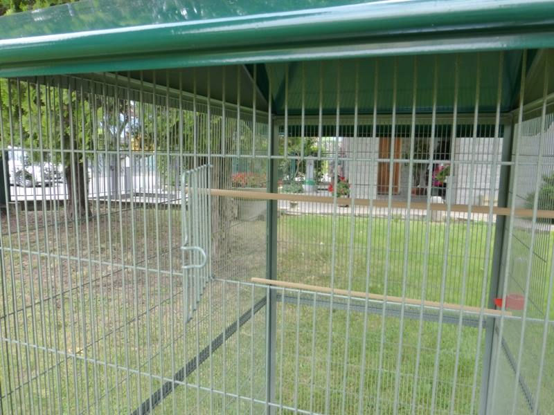 Miniatura: Voliera Rettangolare 105 x 75 x 175H