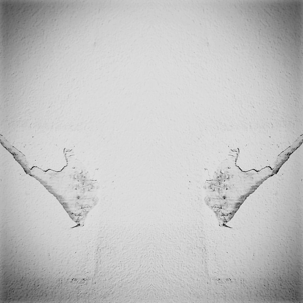 wings in the wall