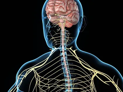 Syracuse Integrative Neuro medicine Inflammatory Pain Management Clinics Upstate NY