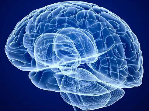 Integrative neurology Rochester NY