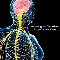 Peripheral Neuropathy Treatment & Nerve Pain Management in Albany, Schenectady,  Clifton Park, Saratoga Springs, Latham, NY.