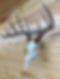 received_570419101816447 (1).jpeg