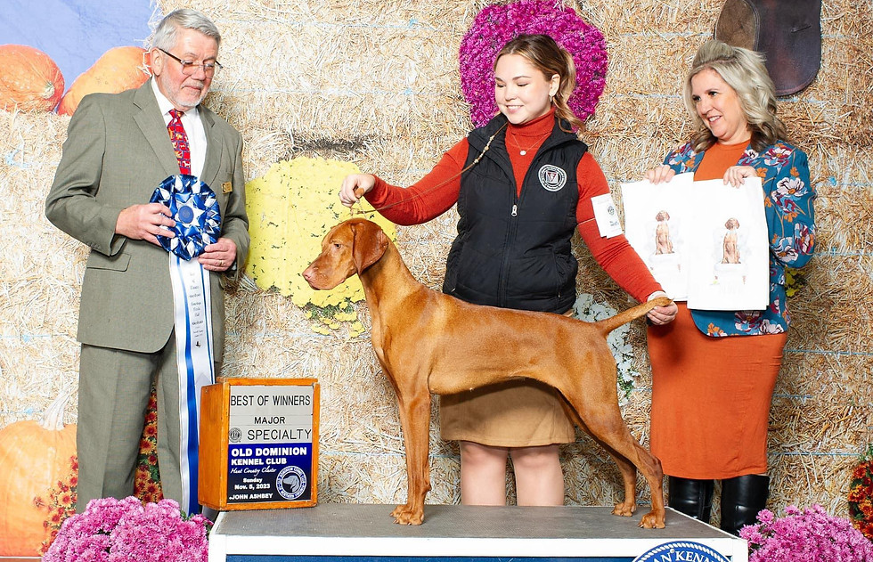 Training Services Tried And True Train & Stay