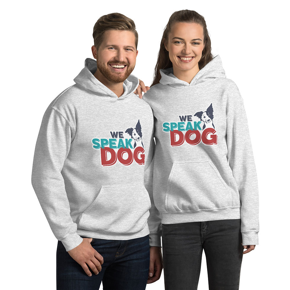 Thumbnail: WSD Official Hoodie