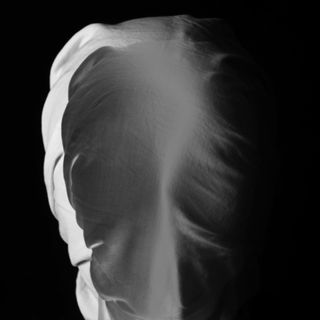 IMG_1770 copy 31.jpg