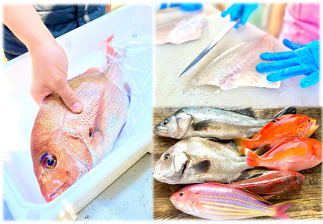 鮮魚 ホーム