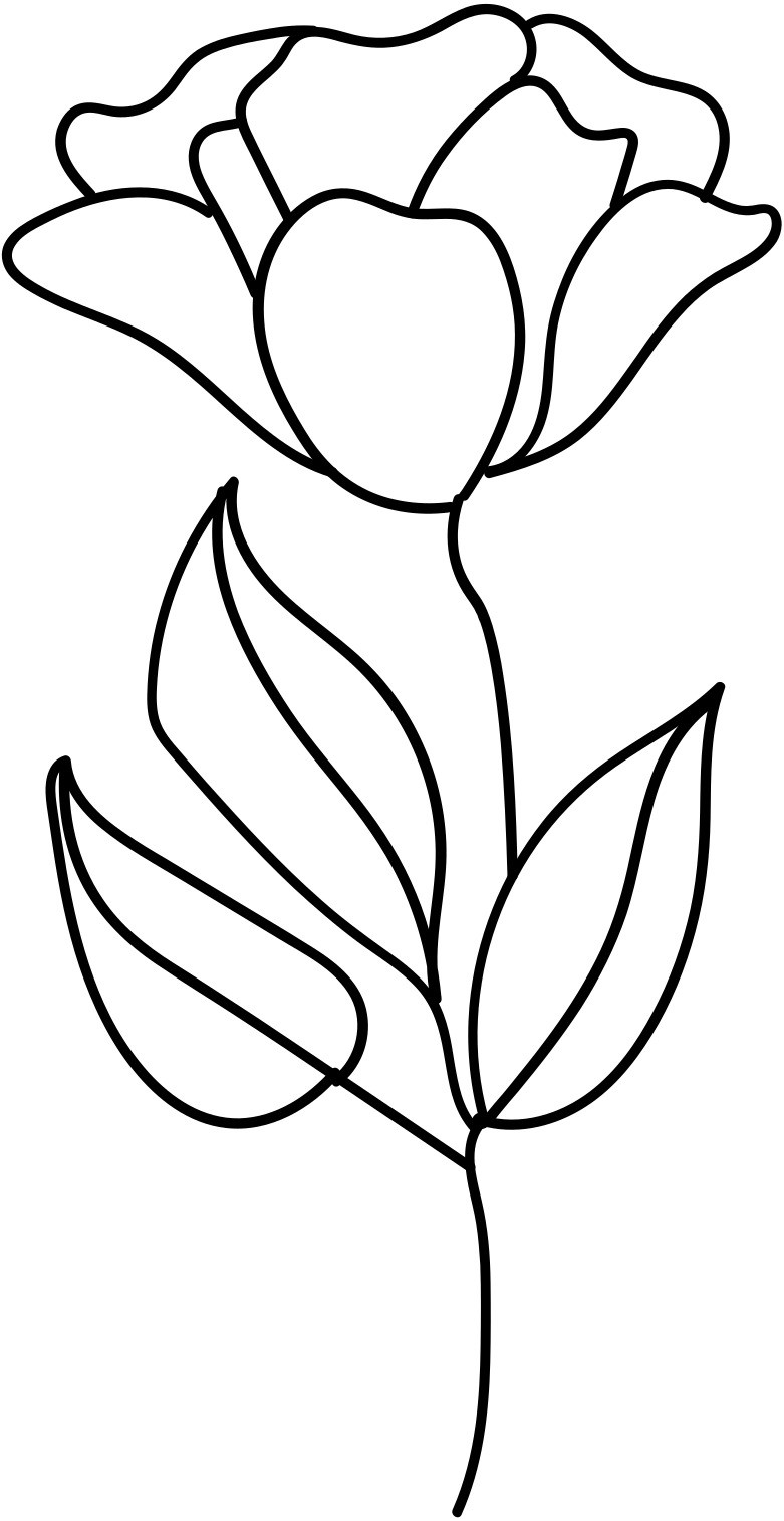 line flower image
