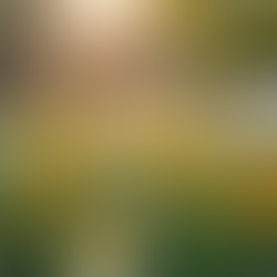 Como Incorporar Princípios Bíblicos no Dia a Dia