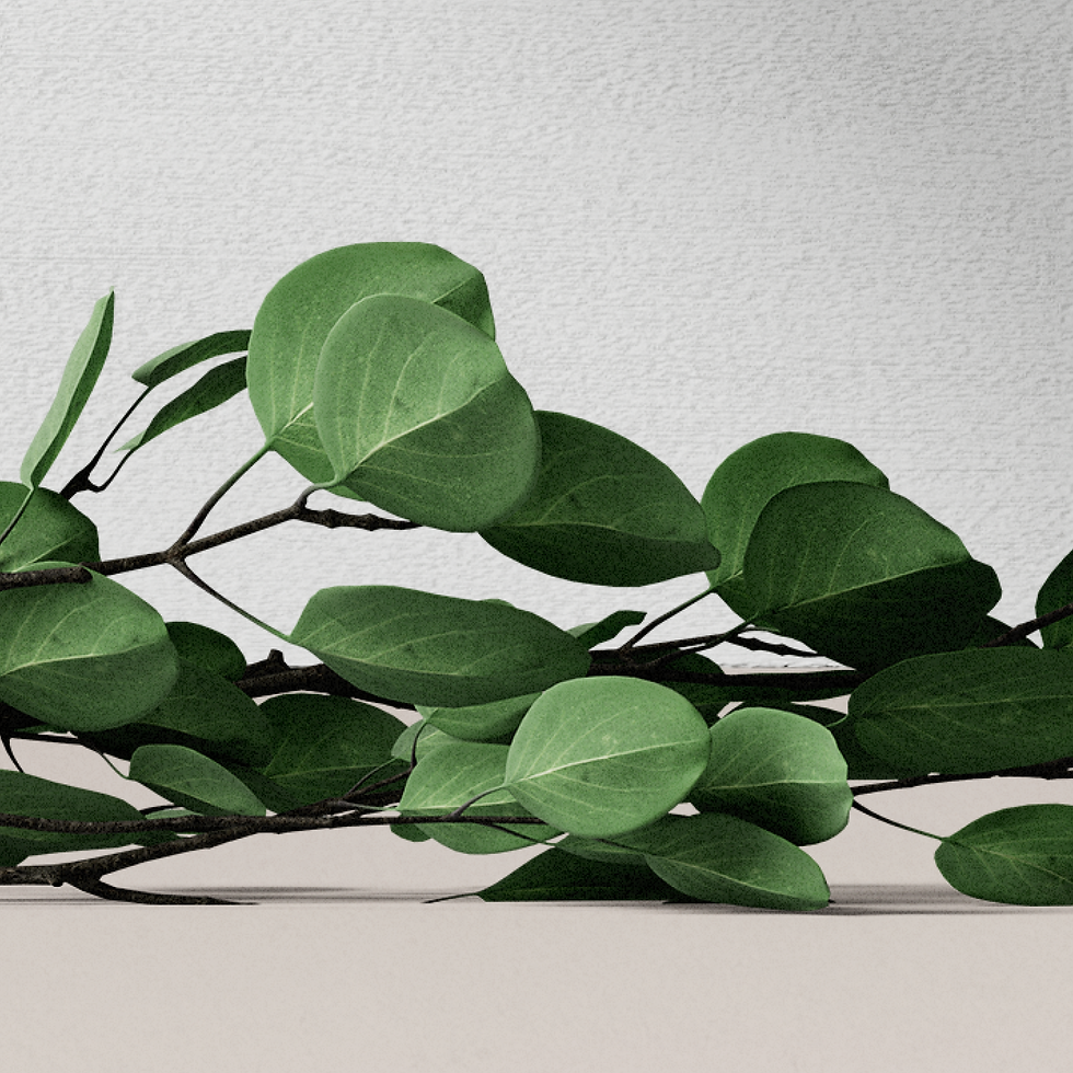 green11111.png