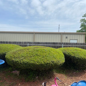 Serene Outdoor Spaces