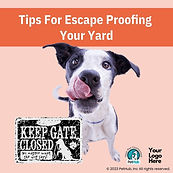 Tips For Escape Proofing Your Yard (2023 (IG) TEMPLATE.jpg