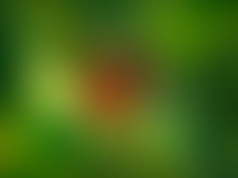 A Functional Medicine Acute Lyme Disease Protocol: Testing, Diagnosing, and Treatment