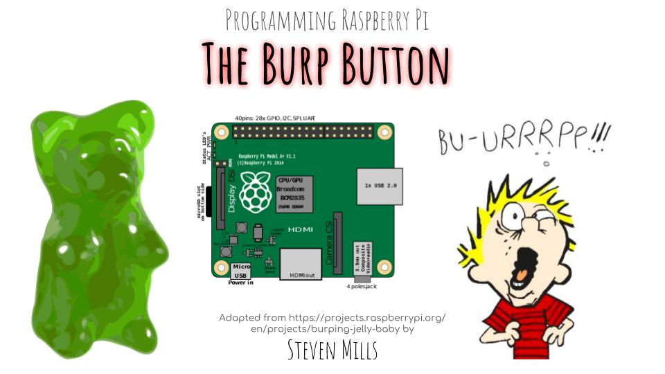 Raspberry Pi_ Burp Button