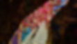 8344292d-b332-4ac4-bb41-0b09548dcf44_bb54e897-aeca-41ba-9ad9-372f37ec582a_edited.jpg