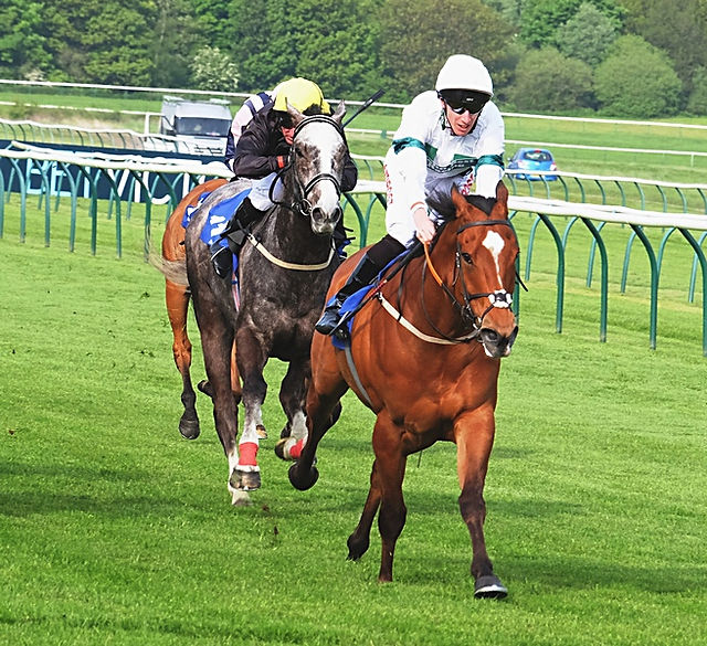 Mossgo George Baker Nottingham 2nd_lg