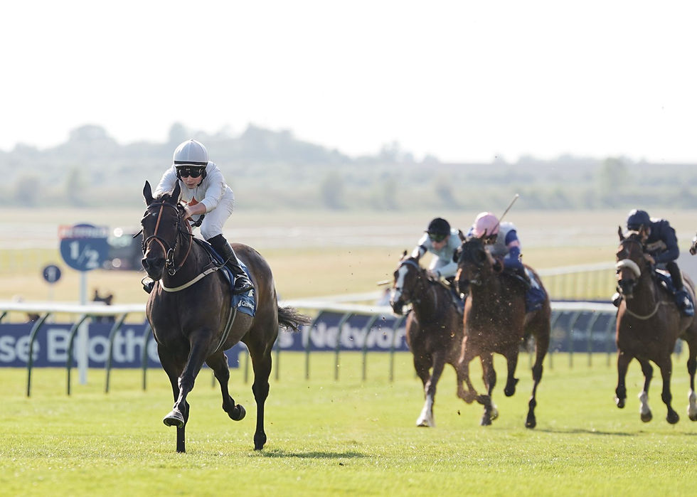 Cinque Verde wins at Newmarket 