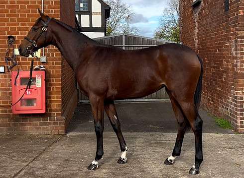 PHOTO-2025-11-03-10-39-31 (1)_edited.jpg